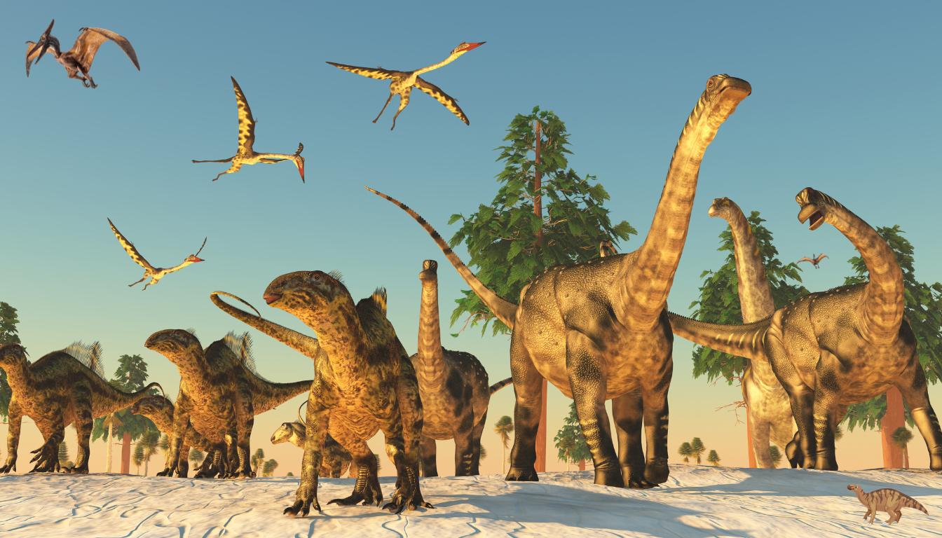 Tipos de Dinossauros