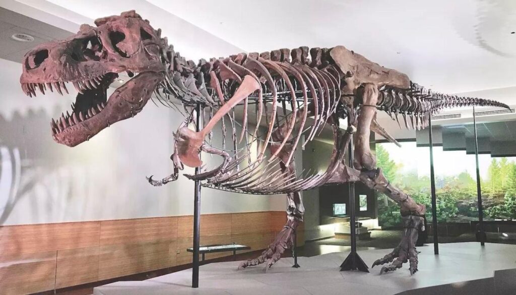 Tiranossauro Rex