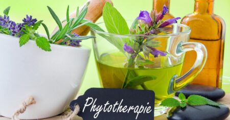 O Que é Fitoterapia: Um Guia Completo para Entender a Medicina das Plantas